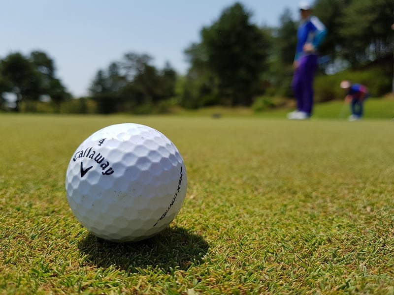 Mindful Golfing Image
